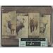 North American Collection 10"x8" Tempered Glass Cutting Board