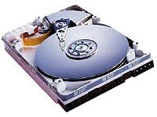 City Travel Guides Discounted  PC Hardware : Western Digital Festplatte WD800BB 80 GB ATA100 7200rpm