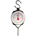 Weston 550 lb. Dial Sportsman Scale