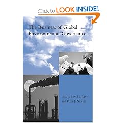 The Business of Global Environmental Governance (Global Environmental Accord: Strategies for Sustainability and Institutional Innovation)