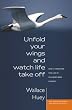 Unfold Your Wings And Watch Life Take Off