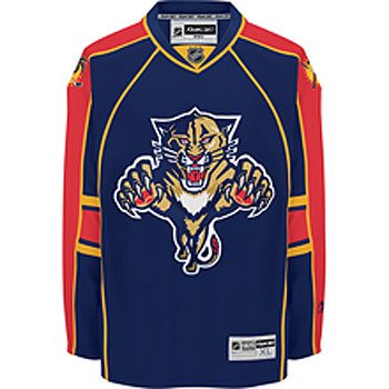 Florida Panthers Reebok Team Color Premier Jersey