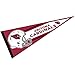 Arizona Official 30 inch Large Pennant