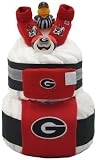 University of Georgia UGA Baby Cake - Two Tiers Diaper Cake Baby Shower Centerpiece Gift Basket
