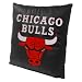 Chicago Bulls - NBA 16