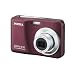 Pentax Optio E90 10 MP Digital Camera with 3x Optical Zoom and 2.7-Inch LCD (Wine Red)