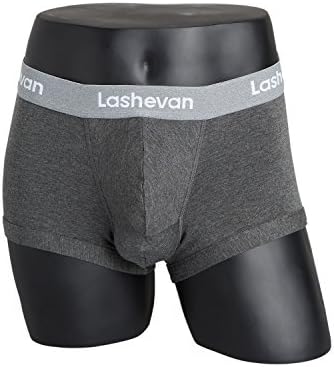 Lashevan Men's Functional Boxer Brief Solid & Dynamic 3D Separated Underwear Tensel Fiber Drawers - Charcoal (TD14071) - M Size