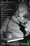 (24x36) Albert Einstein (Words of Wisdom) Art Poster Print