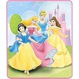Disney Princesses Beaming Beauties Fleece Blanket