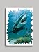 Great White Shark Refrigerator Magnet