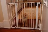 Cardinal Gates - The AutoLock Pressure Gate - White