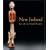 New Ireland: Art of the South Pacific