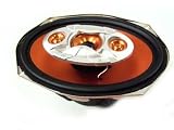 Cougar 2x Auto Lautsprecher Boxen 6 x 9 - 700W