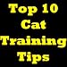 Top 10 Cat Training Tips! Discover The Best Cat Training Tips Around. (Related Terms: Cat Training Tips, How To Train A Cat, How To Train Cats, How To Train Your Cat, Cats Training)