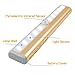 QPAU Stick-on Anywhere Portable Super Bright 10 LED Wireless Motion Sensing Closet Light Cabinet LED Night Light/Step Light/Stairs Light w 3M Magnetic Strip (Battery Operated)-Gold