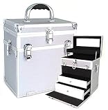2 in 1 Case in Silver (Silver) (11