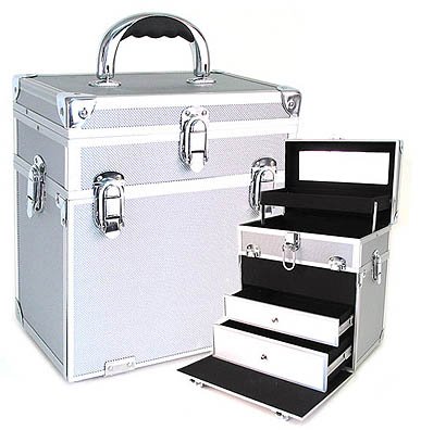 2 in 1 Case in Silver (Silver) (11