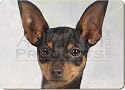 ENGLISH TOY TERRIER DOG PRINT Set of 4 Place Mats