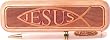 Jesus Fish Laser Engraved Wooden Pen and Case
