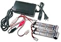 Combo: Tenergy Universal Smart 3A Battery Charger 7.2V - 12V (Hybrid) + 2 PCS Tenergy 8.4V 5000mAh Flat NiMH Battery Pack (Tamiya Connector)