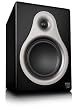 M-Audio Studiophile DSM2 - High-Resolution DSP Reference Monitor with 8-Inch LF Driver
