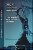 Soft Constraint: Liberal Organizations and Domination (Advances in Organization Studies)