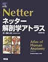 ネッター解剖学アトラス 原書第4版