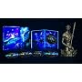 Avatar  (Combo 5 Discos + Busto) [Blu-ray] <b>Blu-ray</b> ~ Sam Worthington