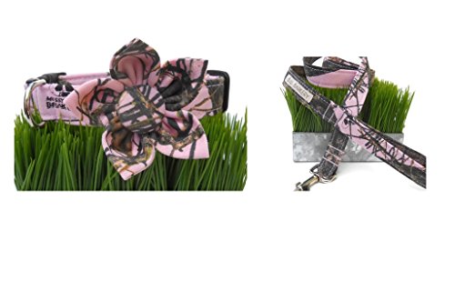 ... Price & Sizing Pink Mossy Oak Camo Dog Collar Check Price & Sizing ... Price & Sizing Pink Mossy Oak Camo Dog Collar Check Price & Sizing