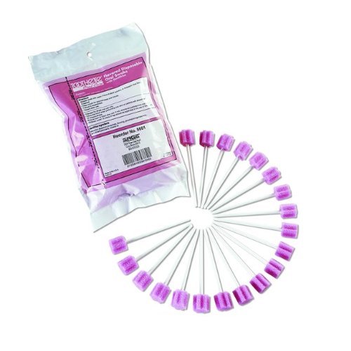 Sage© Toothette Oral Swab - Sku HAL5601_CS2