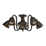 IMAGE OF Quorum 2530-8088 Five Light Kit, Corsican Gold Finish