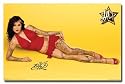 LA Ink (Kat Von D, Red Pose) Framed TV Poster Print - 24" X 36"
