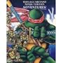 Teenage Mutant Ninja Turtles Adventures