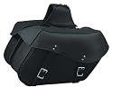 Zip-Off Dual Strap Motorcycle Saddlebags