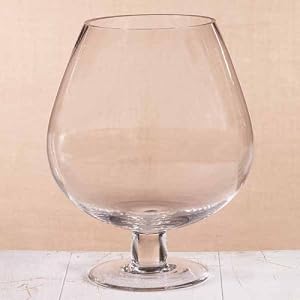 Giant Glass Brandy Snifter Vase 265 Ounce