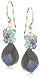 14k Yellow Gold Labradorite, Apatite, and Iolite Drop Earrings