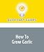 How To Grow Garlic: Garlic is a Staple Ingredient in Many Cuisines and Is Easy to Grow