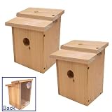 2 Bird House