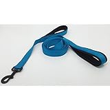 Soft &Thick Dual Handle Dog Leash, Premium Nylon Double Neoprene Padded Handles for Ultimate Control 2 lengths-6ft or 1ft for Medium, Large or ExLarge Dog EZ Walker by Waggin' Tails Co (Bright Blue)