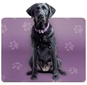 Black Labrador Lab Dog Computer Mouse Pad Mat