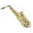 2008 "Sky" Alto Saxophone w High F# Key+Case & Reeds