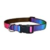 Large Rainbow Dog Collar: 1" wide, Adjusts 18-28".