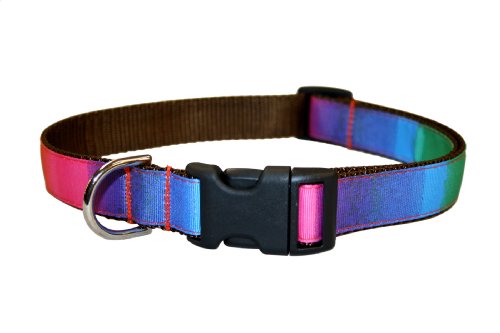 Large Rainbow Dog Collar: 1