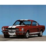 (16x20) Ron Kimball (1966 Red Ford Shelby GT 350 Mustang) Photo Print Poster