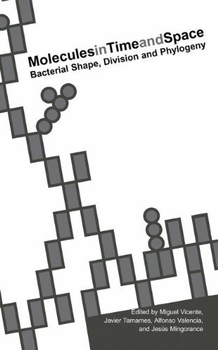 Molecules in Time and Space: Bacterial Shape, Division and Phylogeny (Kluwer International Series in Engineering & Computer Scienc)