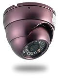 Professional CCD Vandal Proof CCTV Camera with Day and 25m Night Vision