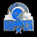 New York Giants Pin - NFL Football Fan Shop Sports Team Merchandise