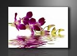 Image sur toile 120 x 80 cm Modèle N° XXL 5132 orchidée Tableaux pour la mur, encadrés, prêts à poser, tout les images sur châssis géant bois véritable.