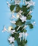 Silk Stephanotis Flower String Lights - Weddings