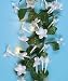 Silk Stephanotis Flower String Lights - Weddings
